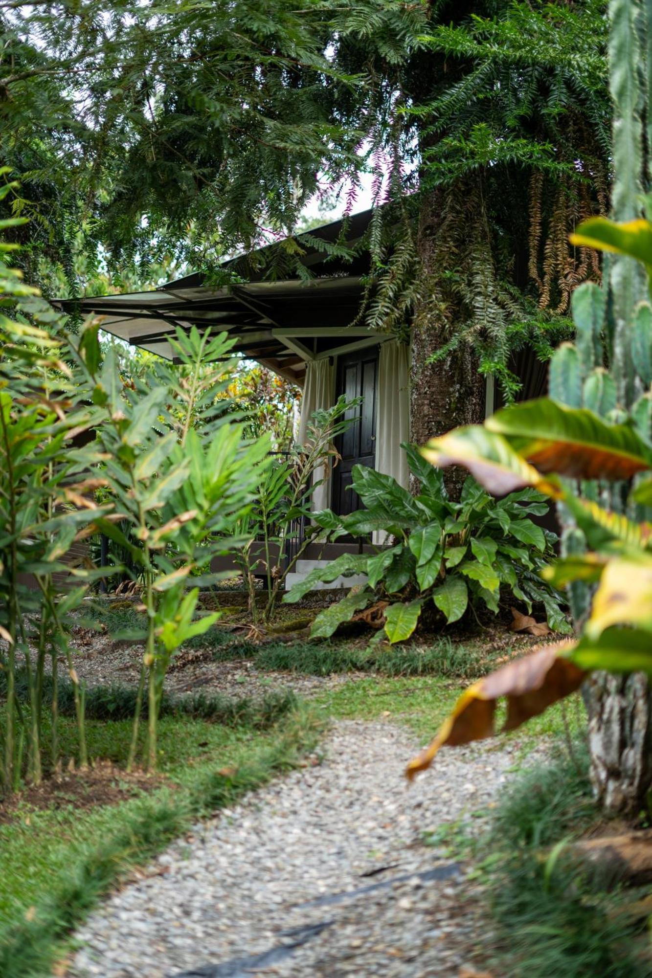 Cabanas Green House San Vito Exterior photo